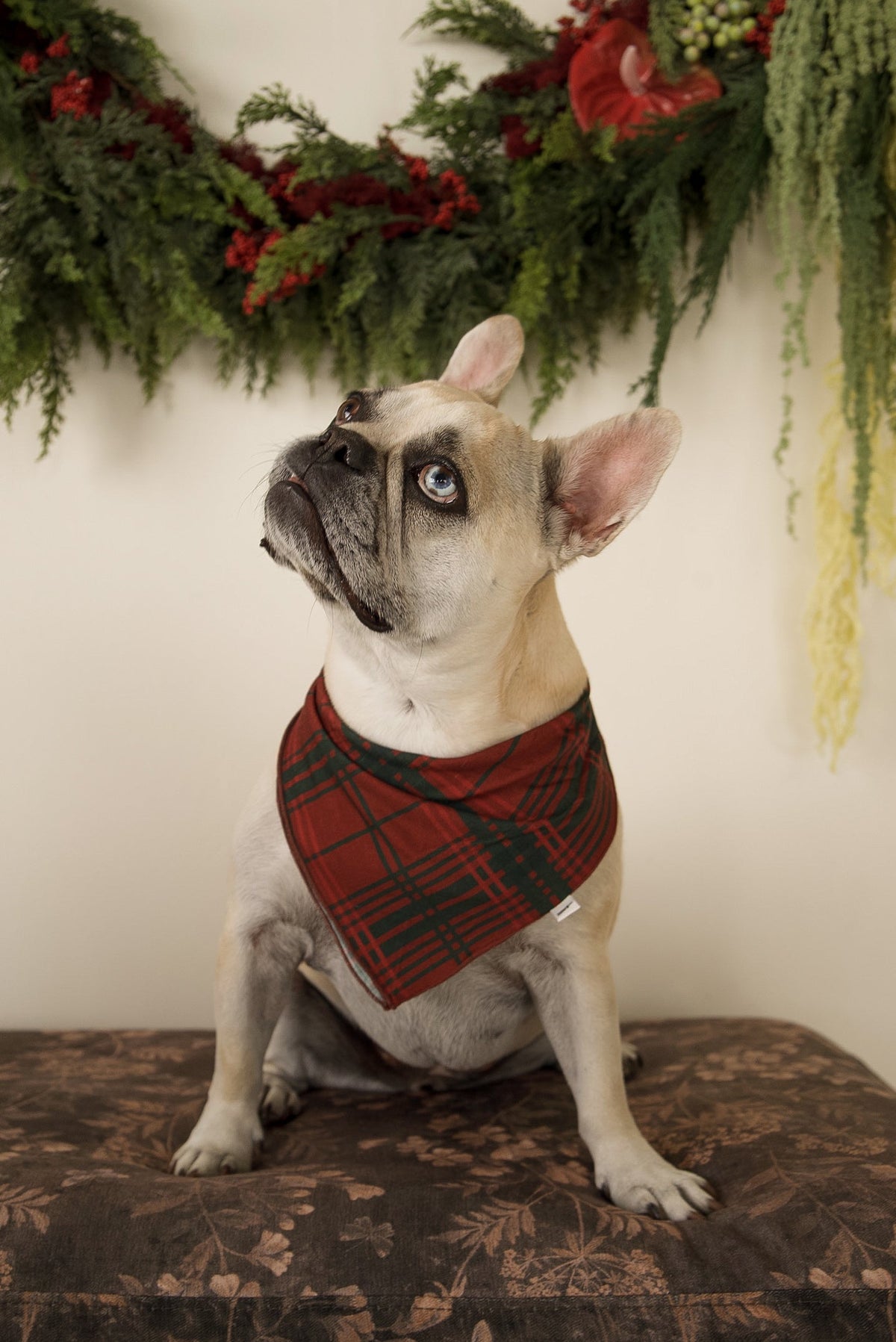 Bamboo Bandana | Christmas Plaid