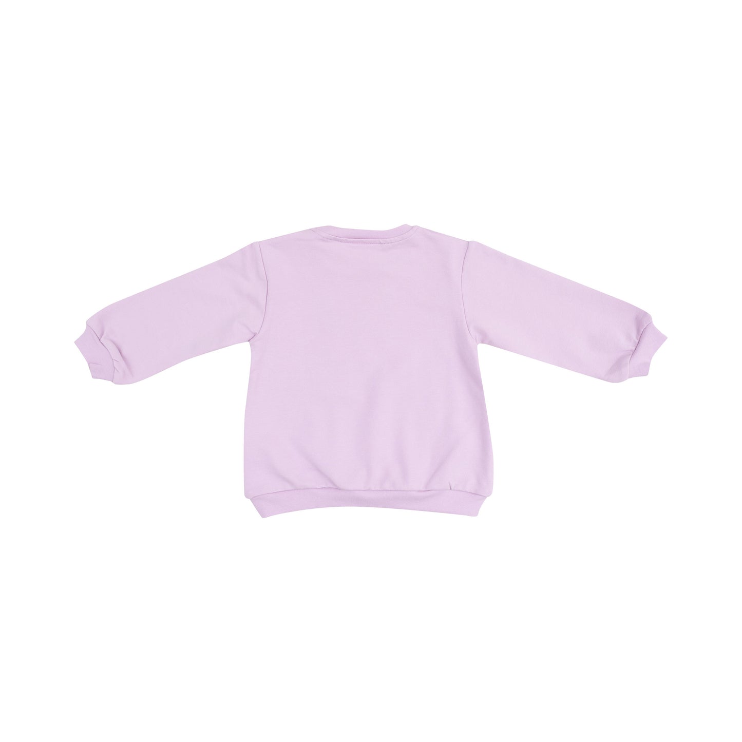 Oversize Sweatshirt with Applique - Monarch Butterflies And Milkweed