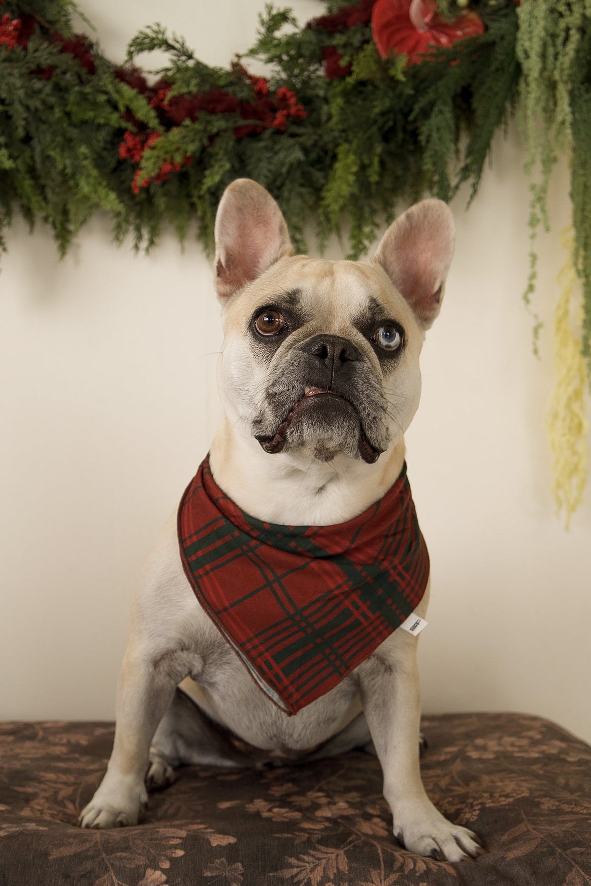 Bamboo Bandana | Christmas Plaid