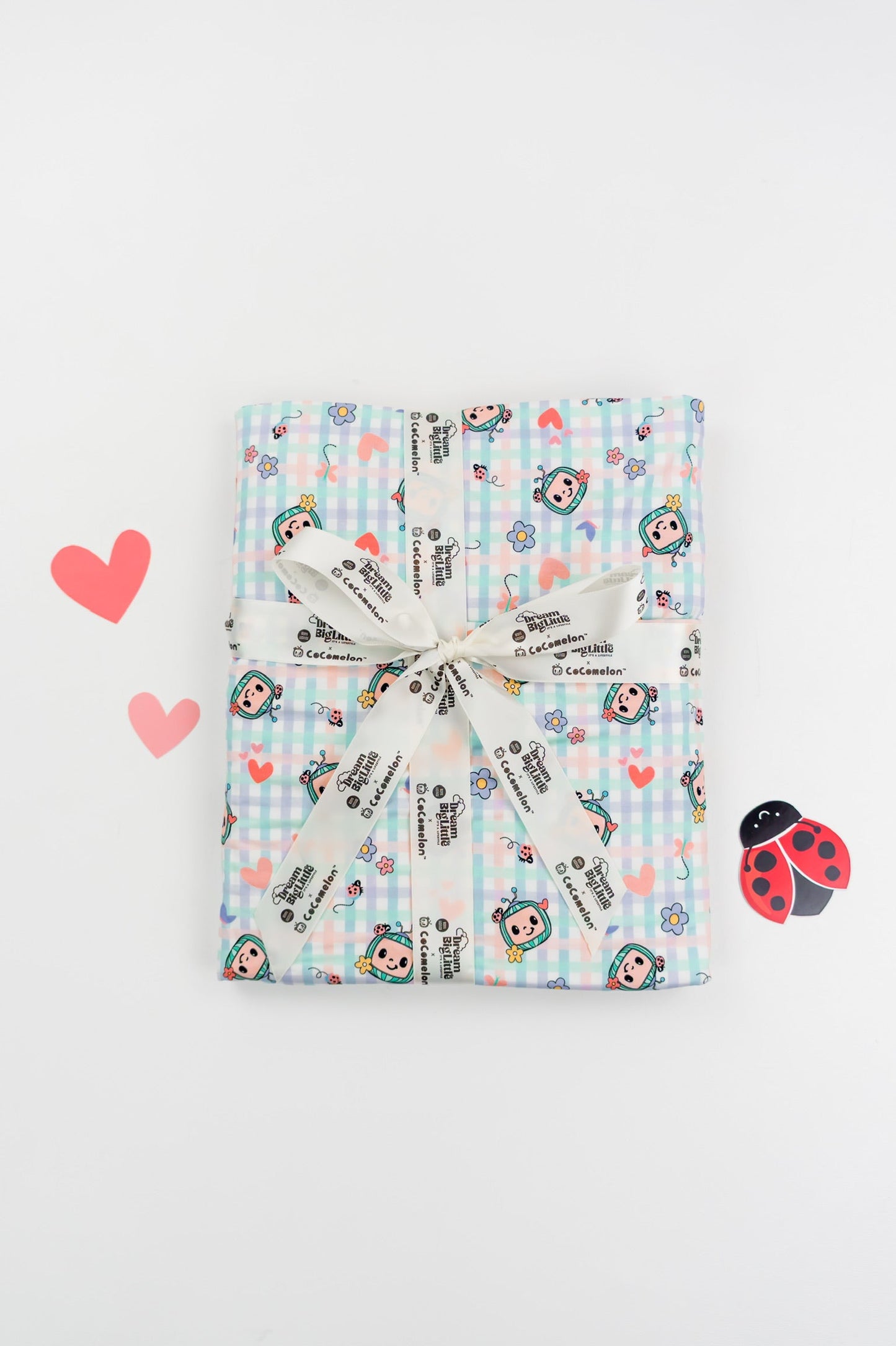 Dream Big Little Co x CoComelon SPRINGTIME MELON DREAM BLANKET